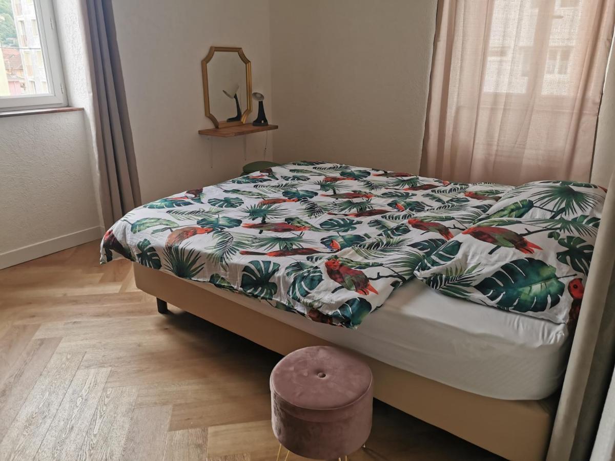 בלגארד סור-ואלסרין Le Petit Angle Appartement 2 Pieces, Plein Centre Ville, Pres De La Gare Jusqu'A 4 Personnes מראה חיצוני תמונה