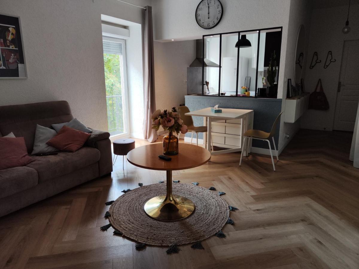 בלגארד סור-ואלסרין Le Petit Angle Appartement 2 Pieces, Plein Centre Ville, Pres De La Gare Jusqu'A 4 Personnes מראה חיצוני תמונה